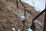 010_2009-0214-1310-40.jpg